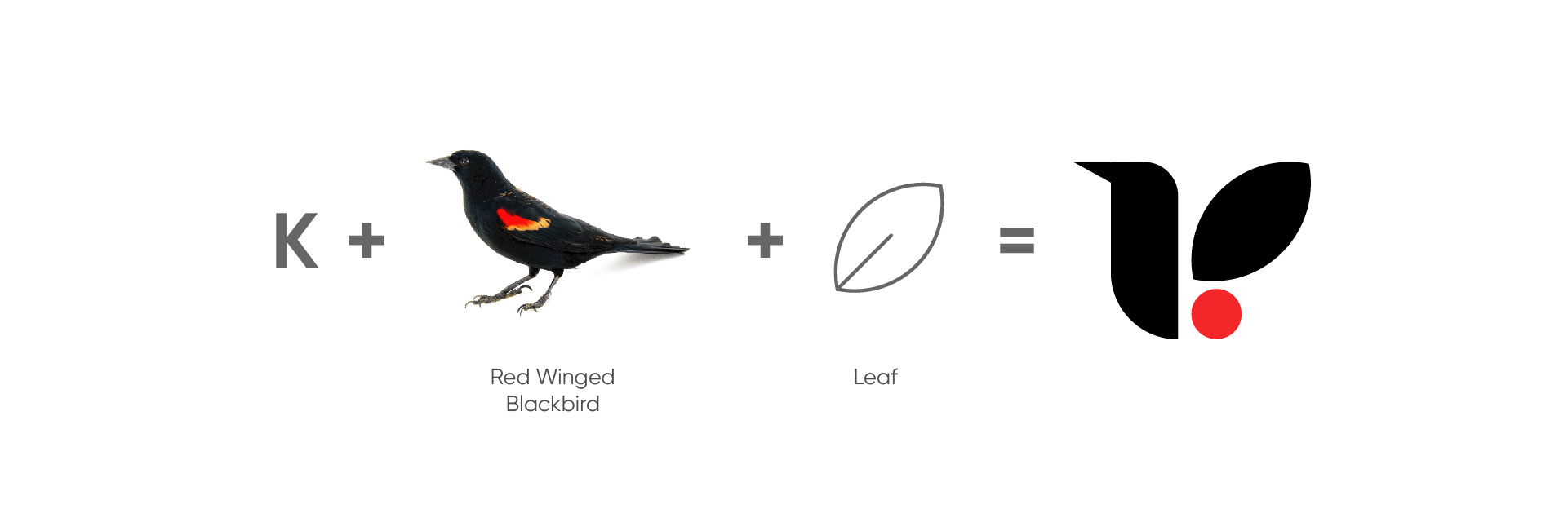 Logo Oluşturma Süreci ve Detaylar