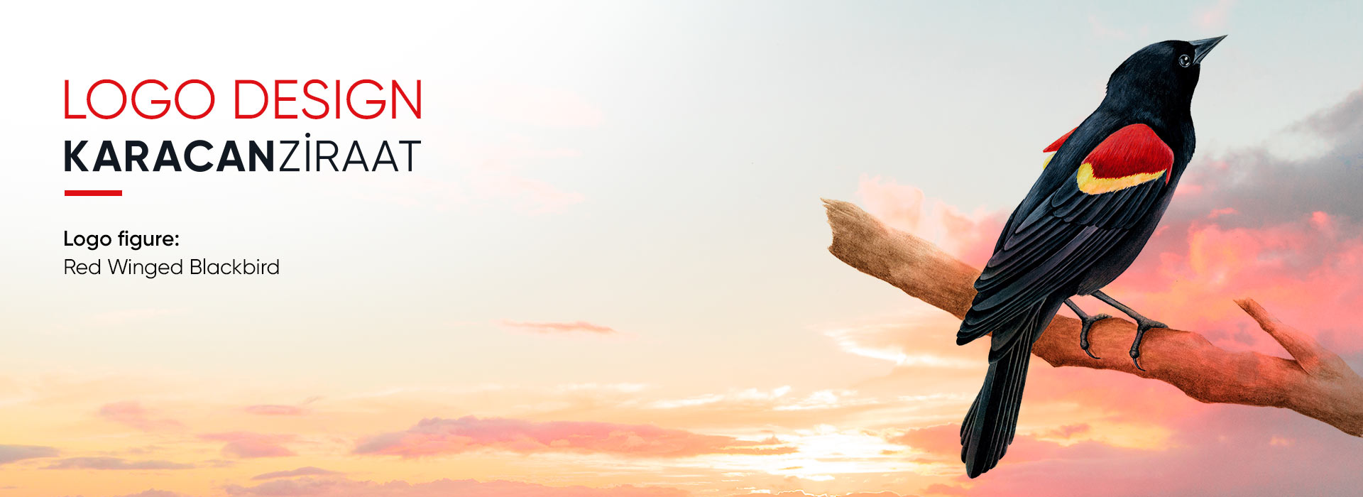 Minimalist Logo tasarımı