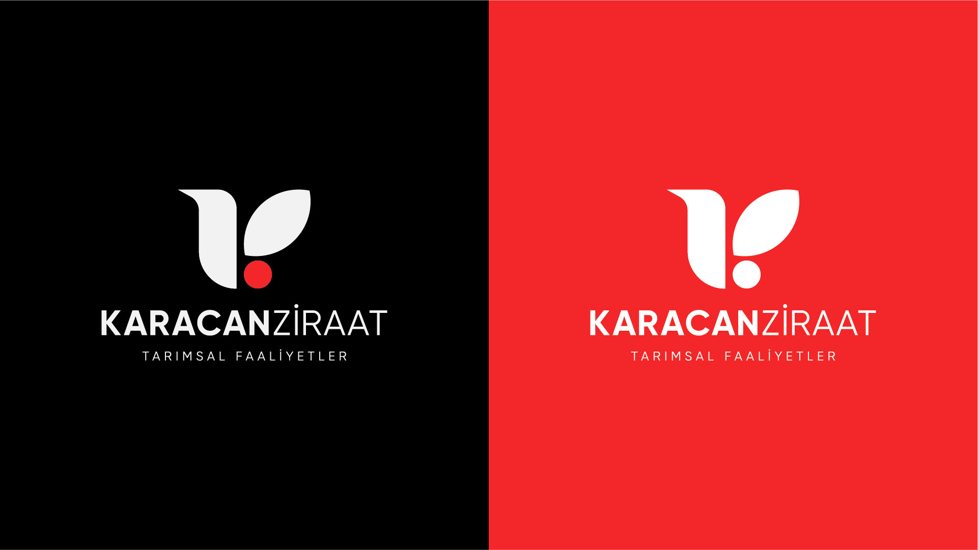 Minimalist logo tasarımı ve zemin üzerinde kullanımı