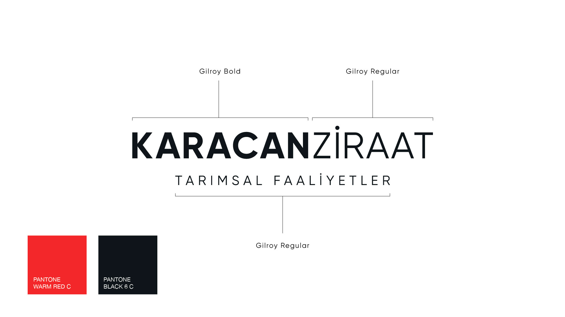 Logo tasarımı pantone renkleri ve logo yazı stilleri