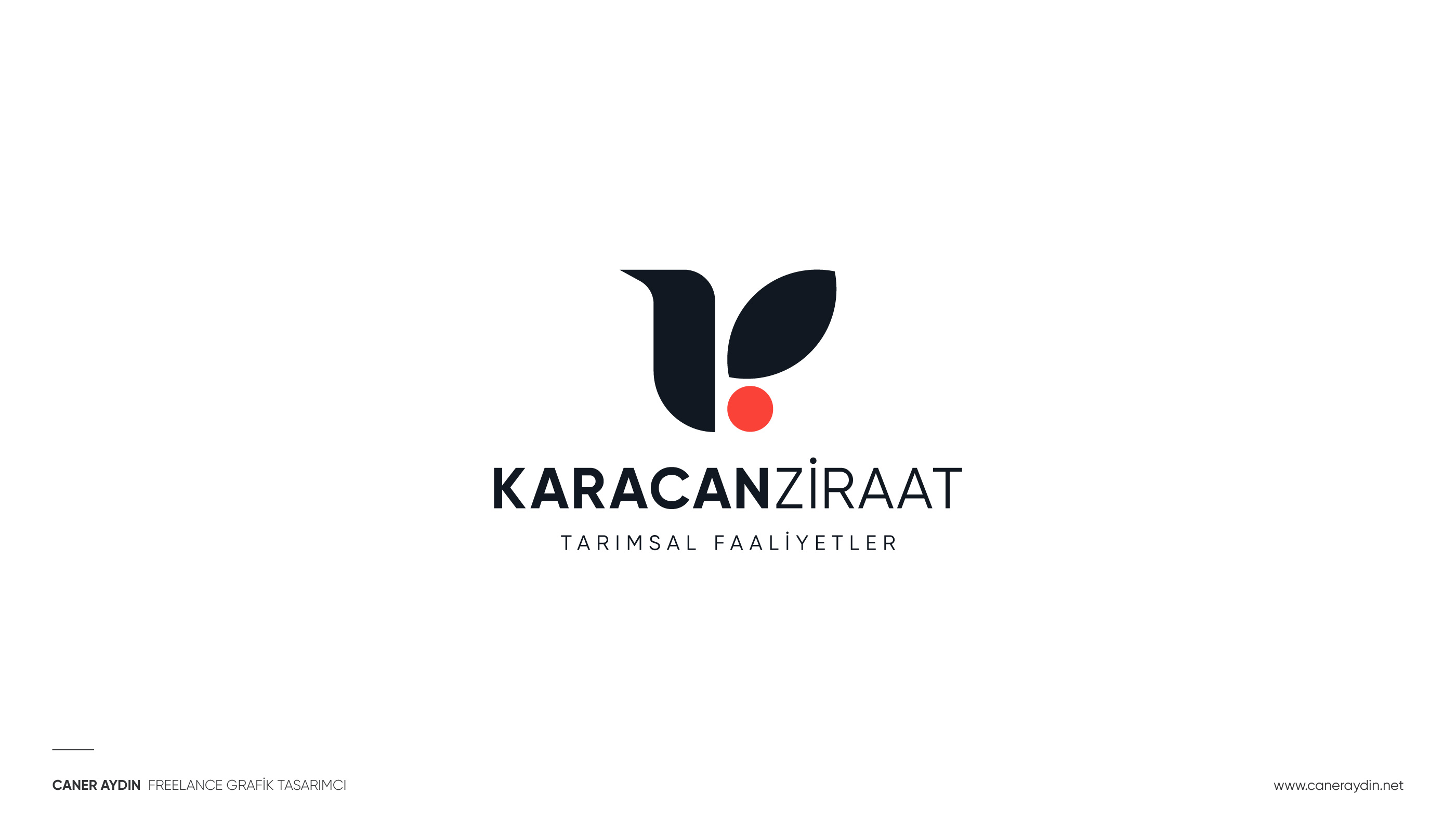 Profesyonel Logo Tasarımı