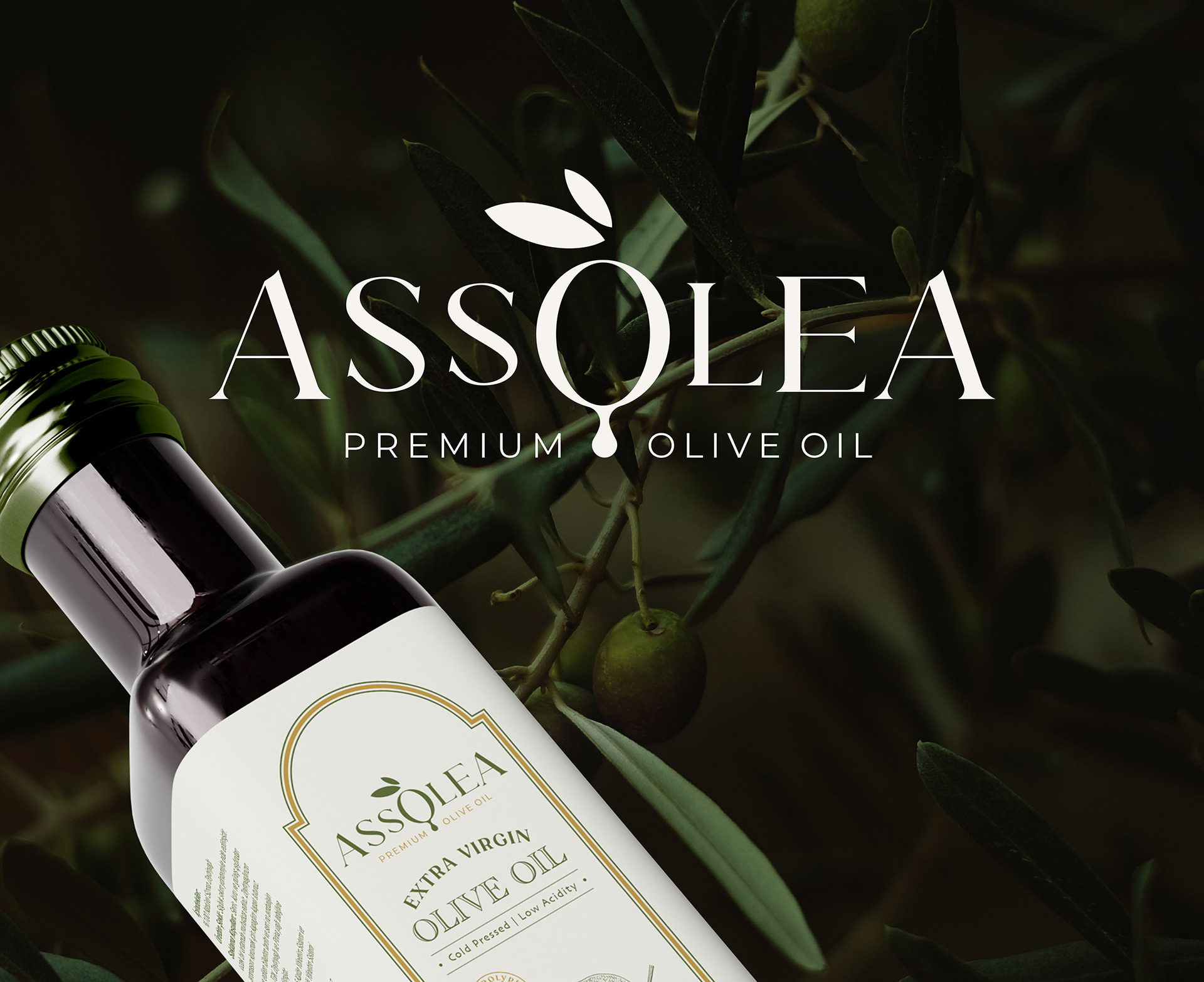 Zeytinyağı Logo Tasarımı ve Ambalaj Tasarımı