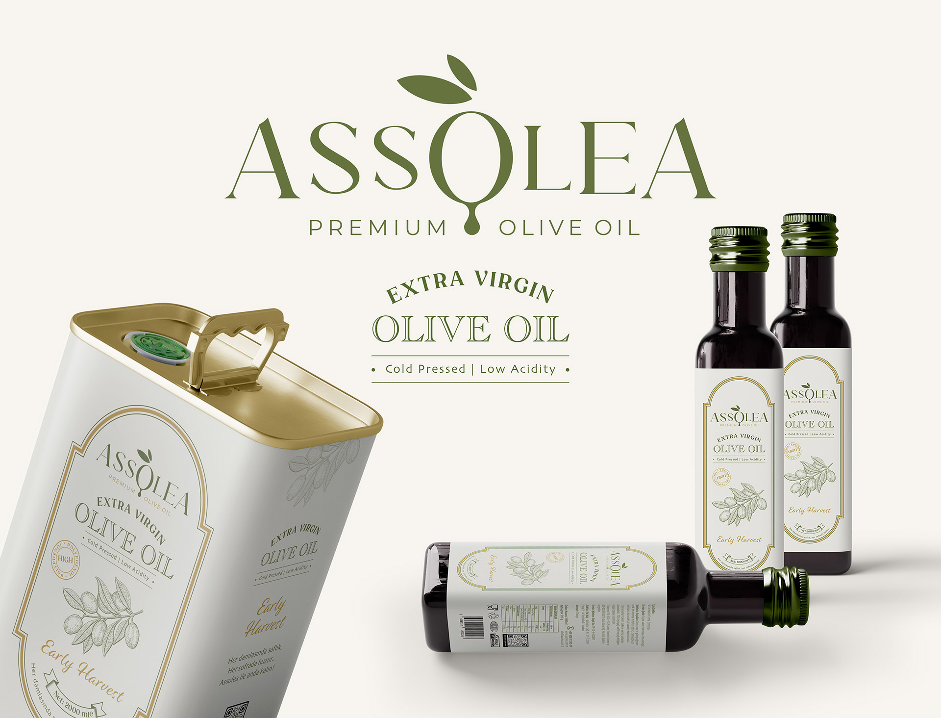 Zeytinyağı Logo Tasarımı ve Ambalaj Tasarımı